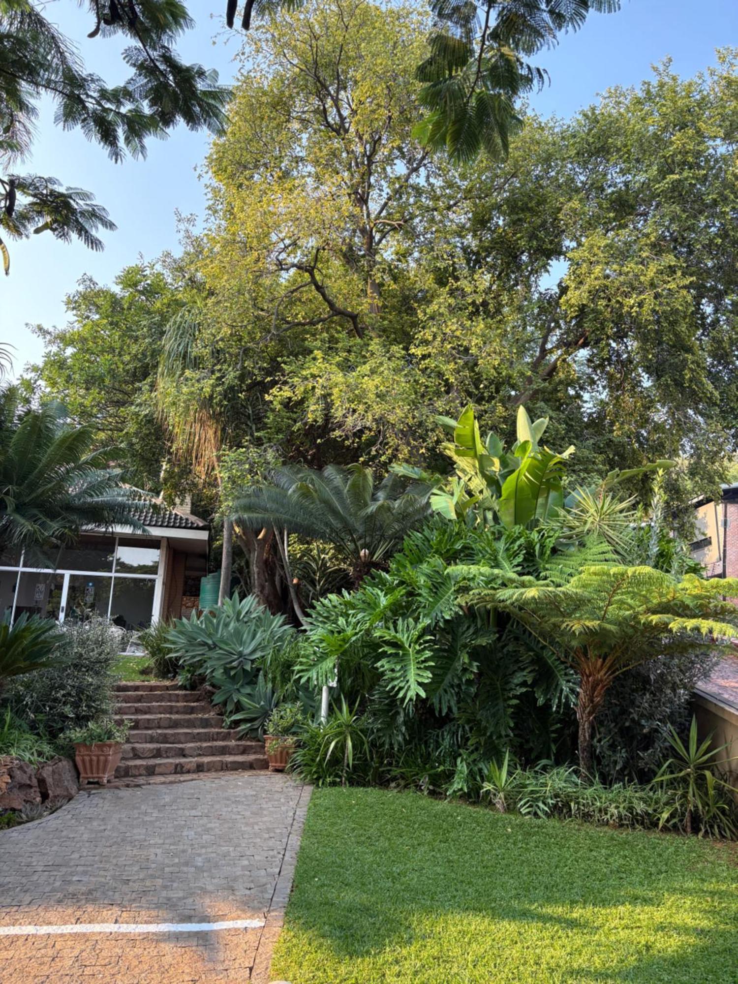 Luxury Upmarket Guesthouse 20 On 4Th Ράστενμπεργκ Εξωτερικό φωτογραφία